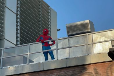 VIDEO: Spider-Man Stuntronic Show at Disney California Adventure Now Performs Without Human Union Acrobats