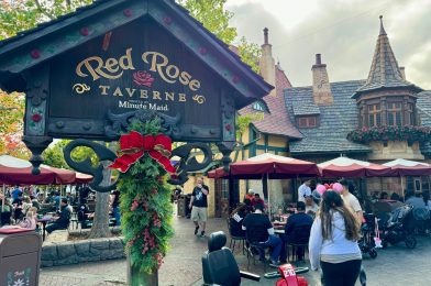 Red Rose Taverne Debuts NEW Christmas Stuff and Peppermint Mocha Cold Brew at Disneyland