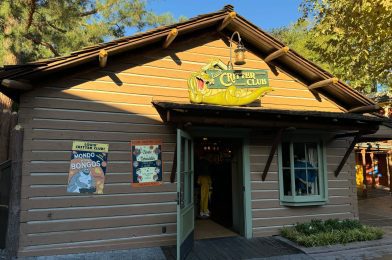 PHOTOS, VIDEO: Full Grand Opening Tour of Louis’ Critter Club Shop at Disneyland Park