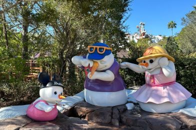 Disney’s Blizzard Beach Water Park Closing for Two Days Due to Cold Weather