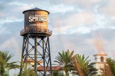 Drunk Woman Who Fell Into Planter at Walt Disney World Arrested After Declaring “I Want To Go To Jail”