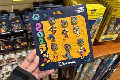 First 2025 Merchandise Arrives at Walt Disney World with Open Edition Pins