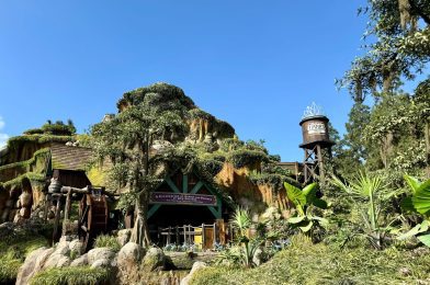 Tiana’s Bayou Adventure Fails to Open at Disneyland on Opening Day