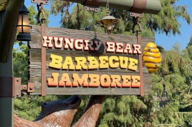 REVIEW: Holiday Funnel Fries & Snickerdoodle  Cold Brew at Hungry Bear Barbecue Jamboree