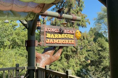 The Top 3 Things to do at Disneyland’s New Bayou Country