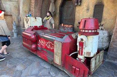 New ‘Star Wars’ Wookiee Life Day Bucket Arrives at Disneyland Resort