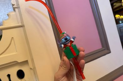 Light-Up Elf Stitch Bottle Topper Crashes Holidays at Disneyland Resort