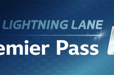 Lightning Lane Premier Pass Gets New Lowest Price at Walt Disney World