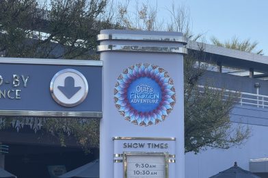 PHOTO REPORT: Disney’s Hollywood Studios 11/12/2024 (Holiday Entertainment and Christmas party honest review)