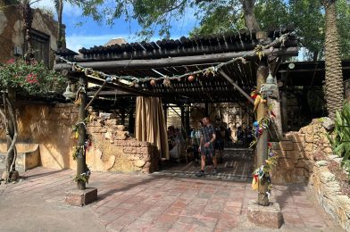 Pandora World of Avatar and More of Disney’s Animal Kingdom Decorates for Christmas 2024