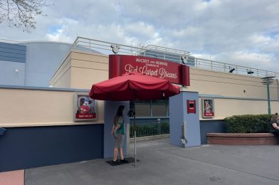 Minnie Mouse Debuts NEW Meet and Greet Costume at Disney’s Hollywood Studios